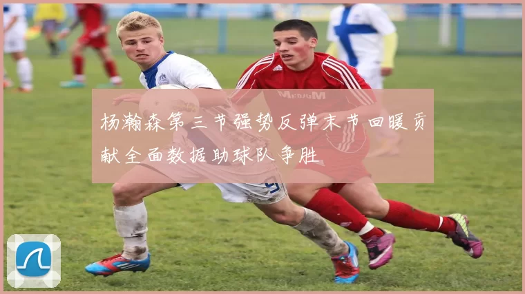杨瀚森第三节强势反弹末节回暖贡献全面数据助球队争胜